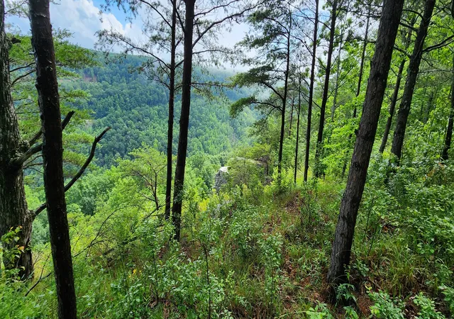 Homes for sale in Monteagle, TN | 0 Eagle Point Dr, Monteagle, TN 37356 | MLS# 3250513