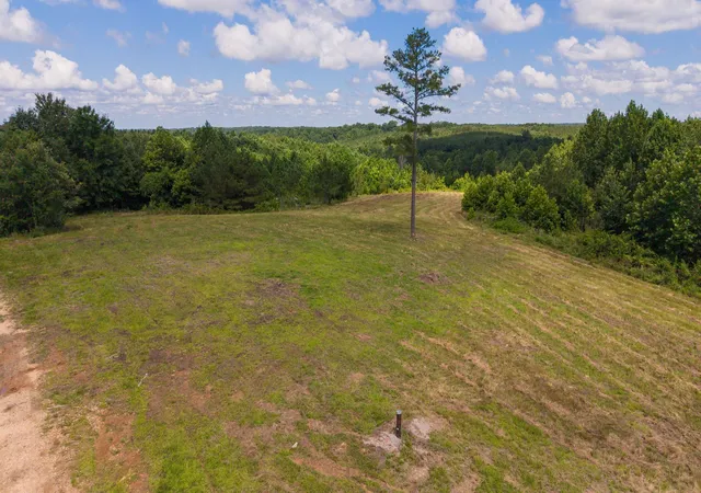 Homes for sale in Dover, TN | 0 Bryon Ln, Dover, TN 37058 | MLS# 3250581