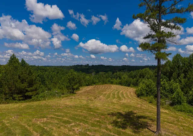 Homes for sale in Dover, TN | 0 Bryon Ln, Dover, TN 37058 | MLS# 3250581