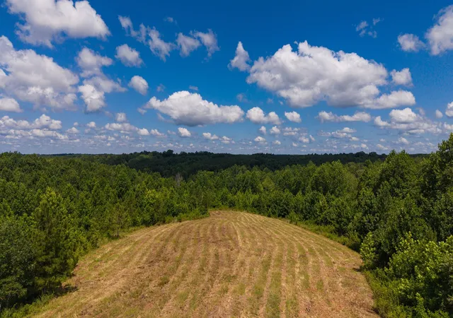 Homes for sale in Dover, TN | 0 Bryon Ln, Dover, TN 37058 | MLS# 3250581
