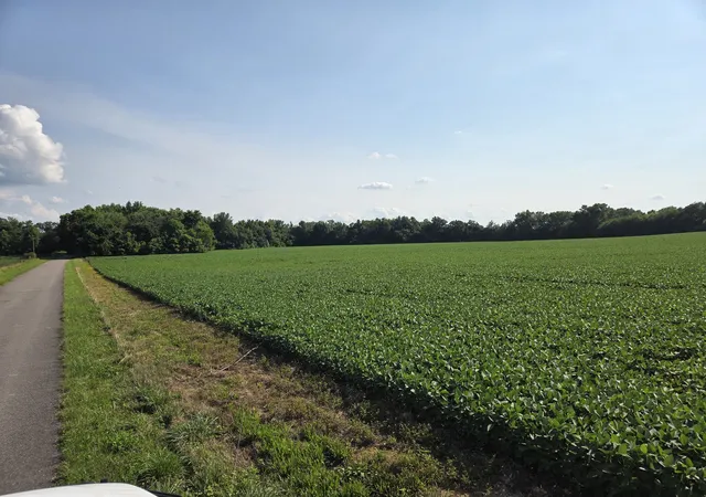 Homes for sale in Taft, TN | 0 Power Station Rd, Taft, TN 38488 | MLS# 3251768