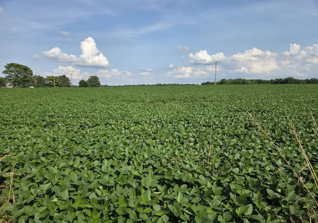 Photo 3 of Land for sale at 0 Power Sta Rd, Taft, TN 38488 | MLS# 3251768 | Listing updated on 2026-06-29