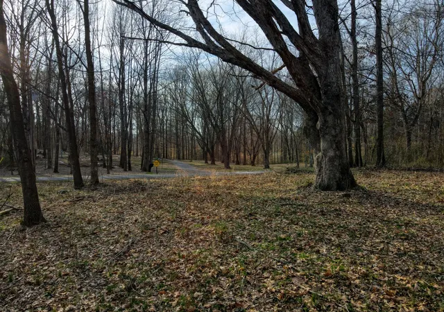 23rd image of 0 Muskie Way, Scottsville, KY 42164 | MLS# 3283664