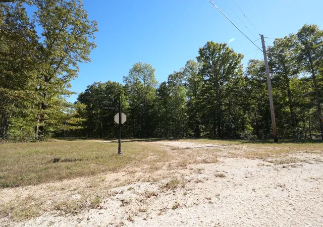 Homes for sale in Hurricane Mills, TN | 21 Three Rivers Dr, Hurricane Mills, TN 37078 | MLS# 3250611