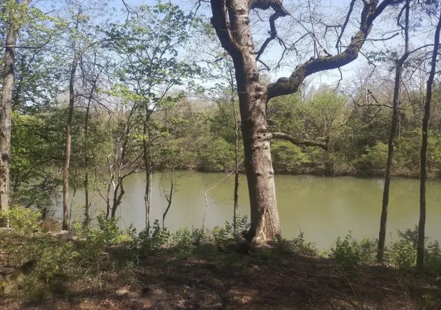 Photo 1 of Land for sale at 7891 Highway 70 S, Nashville, TN 37221 | MLS# 3251217 | Listing updated on 2026-08-20