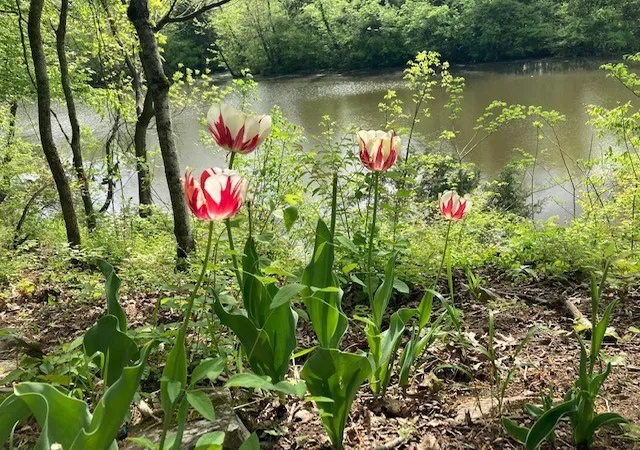 Photo 3 of Land for sale at 7891 Highway 70 S, Nashville, TN 37221 | MLS# 3251217 | Listing updated on 2026-08-20