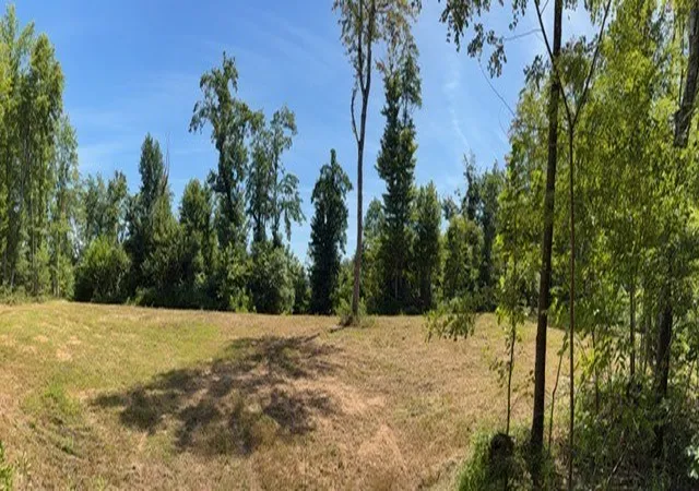 Land for sale at 1767 Public Well Rd, Pleasant Shade, TN 37145 | MLS# 3251372