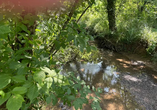 14th image of 0 Hensley Wilson Lane, Evensville, TN 37332 | MLS# 3304324