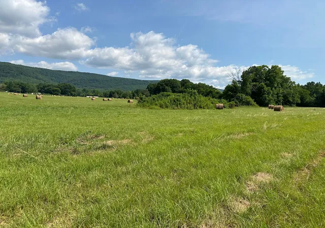 4th image of 0 Hensley Wilson Lane, Evensville, TN 37332 | MLS# 3304324