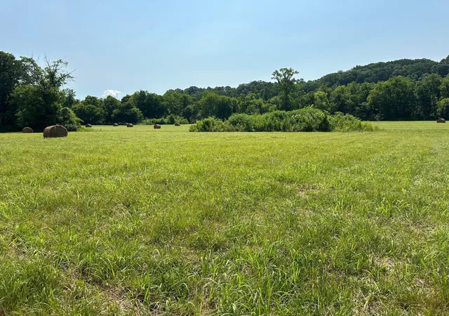 5th image of 0 Hensley Wilson Lane, Evensville, TN 37332 | MLS# 3304324