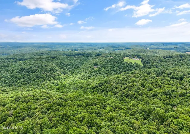 Homes for sale in Lancing, TN | 146 Harkle Rd, Lancing, TN 37770 | MLS# 3250866