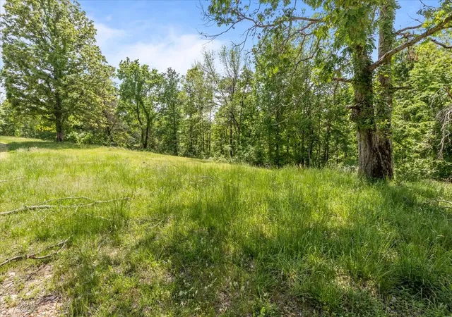 Homes for sale in Waverly, TN | 211 Minnow Rd, Waverly, TN 37185 | MLS# 3250982