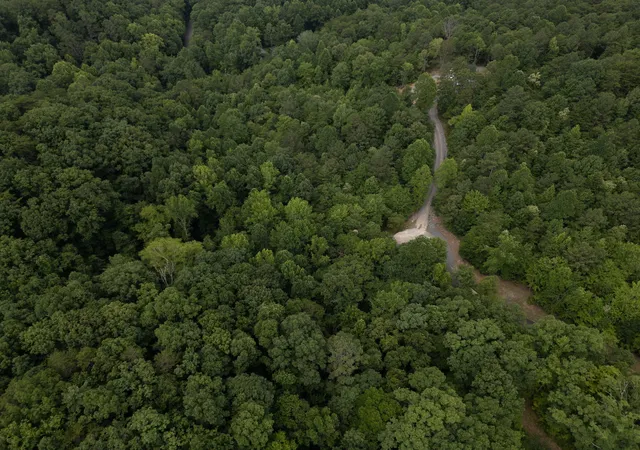 19th image of 0 Dogwood Hollow, Oldfort, TN 37362 | MLS# 3250994