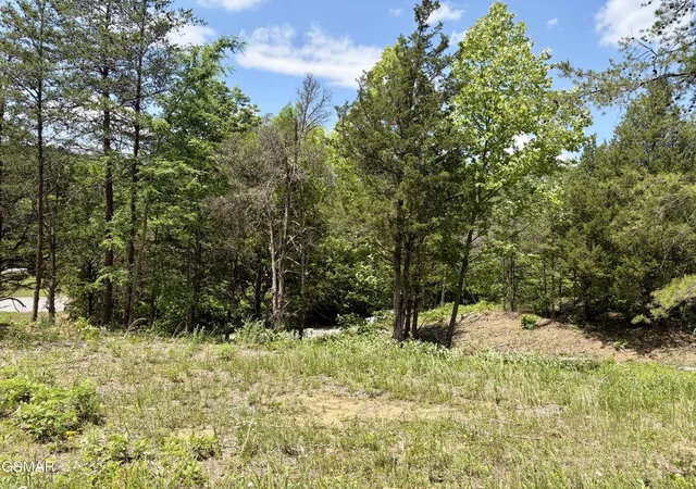 Homes for sale in Sevierville, TN | 7 Burchfiel Way, Sevierville, TN 37876 | MLS# 3264190