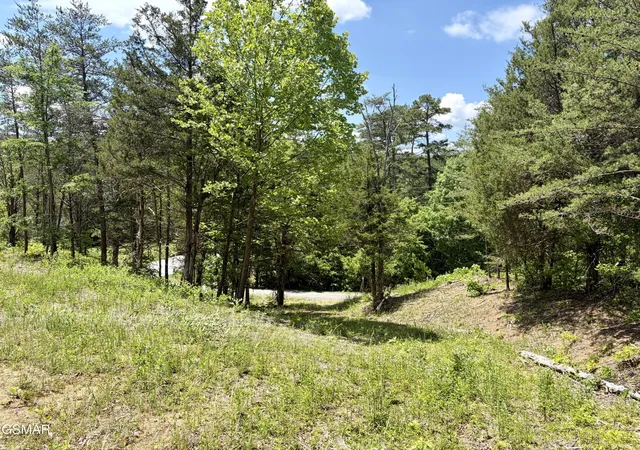 Homes for sale in Sevierville, TN | 7 Burchfiel Way, Sevierville, TN 37876 | MLS# 3264190