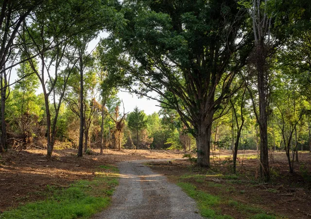 Photo 4 of Land for sale at 0 Parker Branch Rd, Franklin, TN 37064 | MLS# 3251523 | Listing updated on 2026-08-20