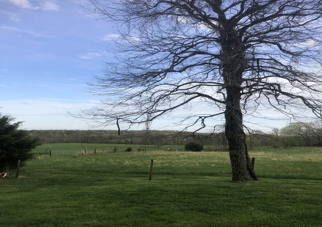 10th image of 5651 Hwy 48, Cunningham, TN 37052 | MLS# 3251269