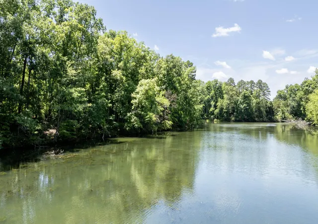 25th image of 882 Lower River Road, Decatur, TN 37322 | MLS# 3251397
