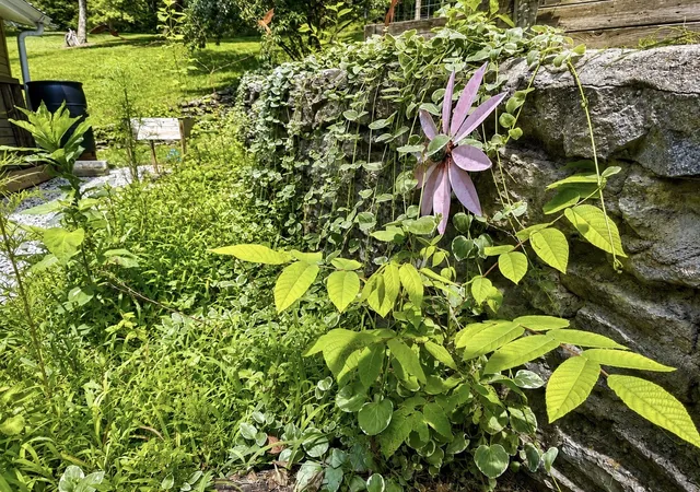 5th image of 206 Gunter Ridge Rd, Pulaski, TN 38478 | MLS# 3251434