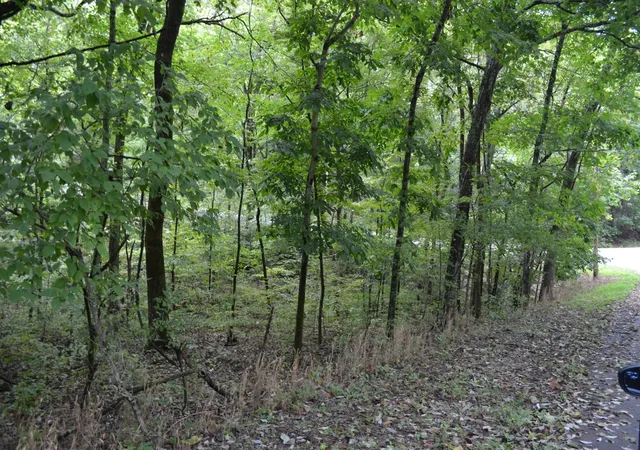 Homes for sale in Gallatin, TN | 0 Pond Dr, Gallatin, TN 37066 | MLS# 3256077