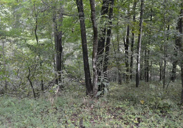Homes for sale in Gallatin, TN | 0 Pond Dr, Gallatin, TN 37066 | MLS# 3256077