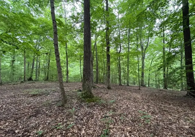 Photo 3 of Land for sale at 0 Knox Ln, Clarksville, TN 37042 | MLS# 3302345 | Listing updated on 2026-08-18
