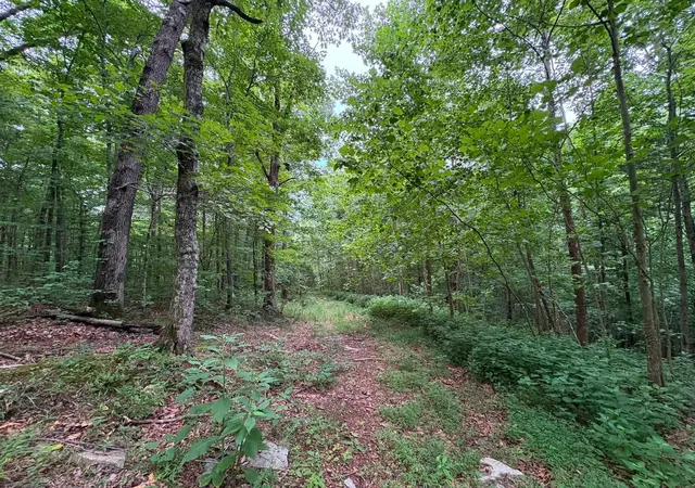 47th image of 0 Knox Ln, Clarksville, TN 37042 | MLS# 3302345