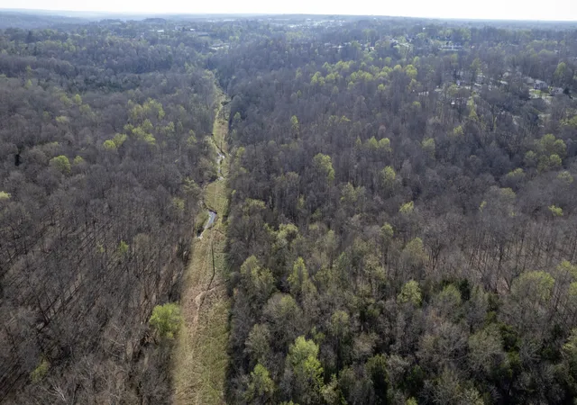 Photo 4 of Land for sale at 0 Knox Ln, Clarksville, TN 37042 | MLS# 3302345 | Listing updated on 2026-08-18