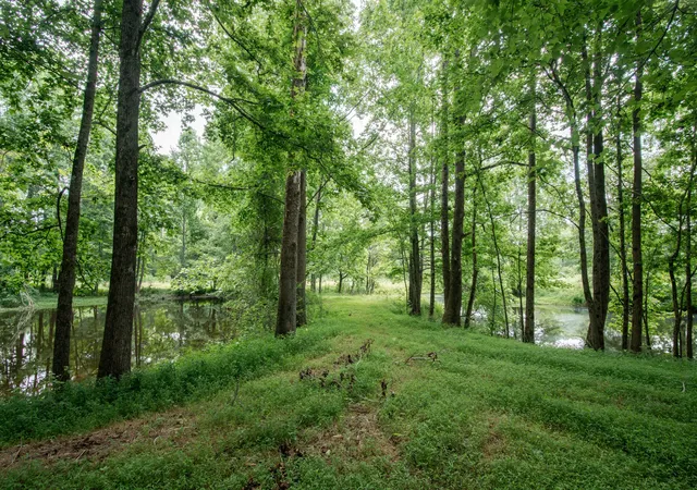 Homes for sale in Flintville, TN | 169 Pendergrass Rd, Flintville, TN 37335 | MLS# 3251830