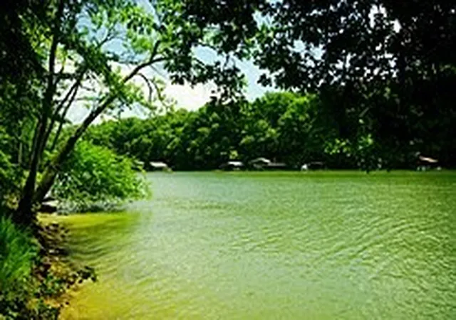 Photo 3 of Land for sale at 566 Locke Bnd Rd, Mc Minnville, TN 37110 | MLS# 3251597 | Listing updated on 2026-08-20