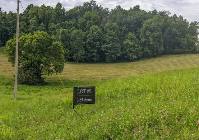 4th image of 0 Skyridge Lane, Shelbyville, TN 37160 | MLS# 3253546