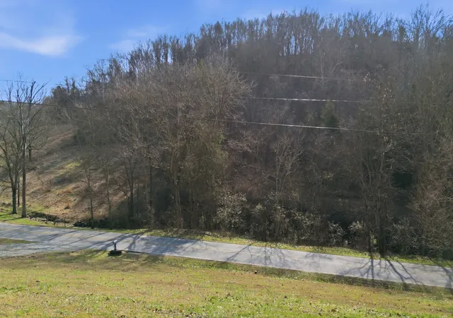 Homes for sale in Carthage, TN | 275 Lakeside Dr, Carthage, TN 37030 | MLS# 3251707
