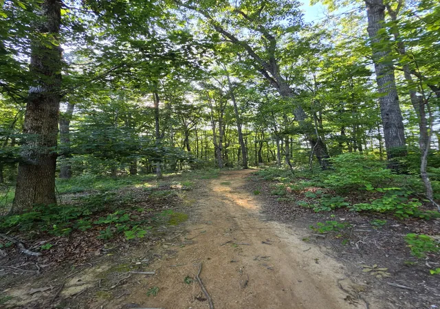 5th image of 35 Chickory Ln, Monteagle, TN 37356 | MLS# 3251820