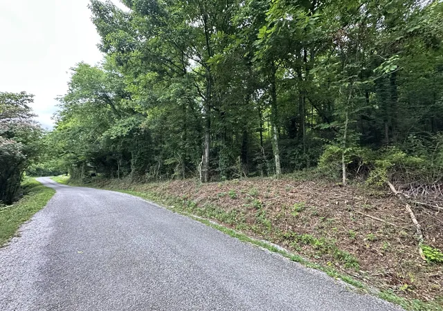 Homes for sale in Hickman, TN | 17 Hackett Valley Rd, Hickman, TN 38567 | MLS# 3251814