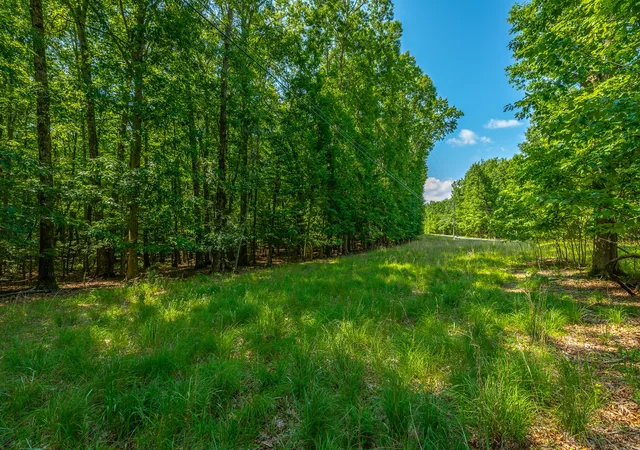 Homes for sale in Sewanee, TN | 0 Deep Woods Road, Sewanee, TN 37375 | MLS# 3251802