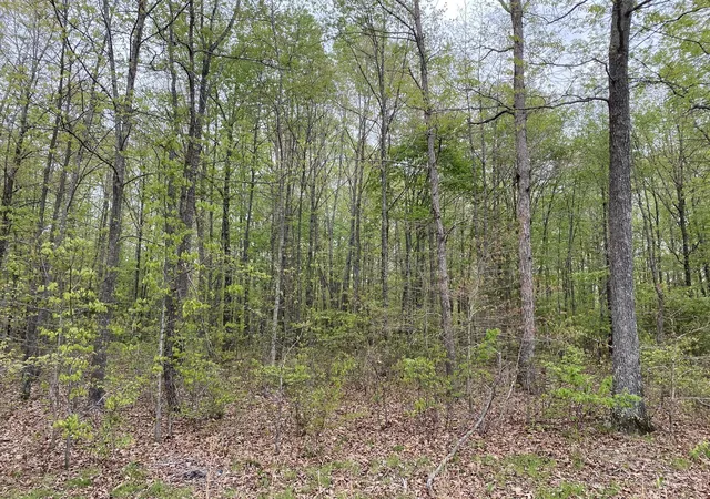 Homes for sale in Loretto, TN | 0 Eagle Loop, Loretto, TN 38469 | MLS# 3251863