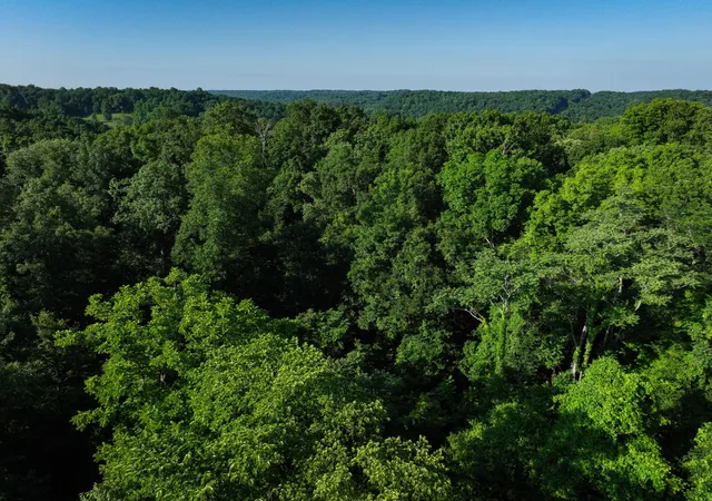 4th image of 8 Shiloh Canaan Road, Palmyra, TN 37142 | MLS# 3251905