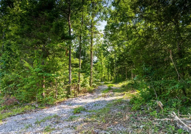Homes for sale in Readyville, TN | 0 Mcelroy Rd, Readyville, TN 37149 | MLS# 3255635
