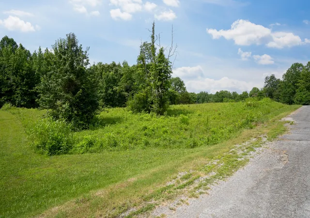 Homes for sale in Smithville, TN | 0 Summer Breeze Dr, Smithville, TN 37166 | MLS# 3253450