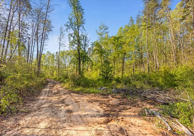 Homes for sale in Whitwell, TN | 0 Valley View Hwy, Whitwell, TN 37397 | MLS# 3252017