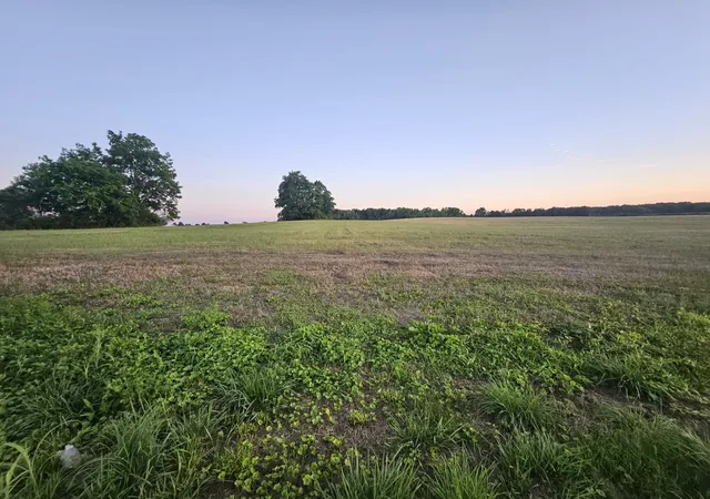 Land for sale at 0 Blanton School Rd, Woodbury, TN 37190 | MLS# 3252038