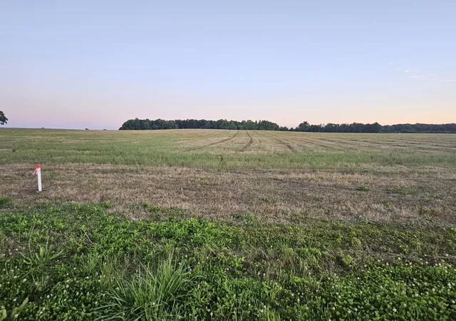 Photo 5 of Land for sale at 0 Blanton School Rd, Woodbury, TN 37190 | MLS# 3252038 | Listing updated on 2026-08-20