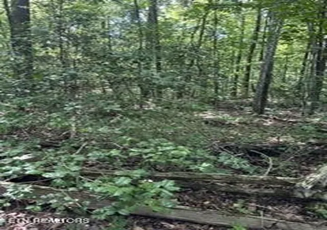 1st image of 850 Lick Hollow Dr, Grandview, TN 37337 | MLS# 3252030