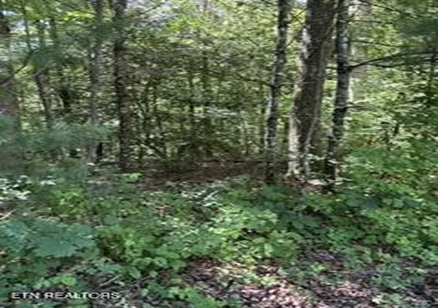 Photo 3 of Land for sale at 850 Lick Holw Dr, Grandview, TN 37337 | MLS# 3252030 | Listing updated on 2026-08-07