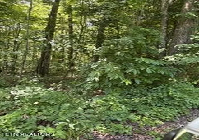 Photo 4 of House for sale at 850 Lick Holw Dr, Grandview, TN 37337 | MLS# 3252030 | Listing updated on 2026-08-07