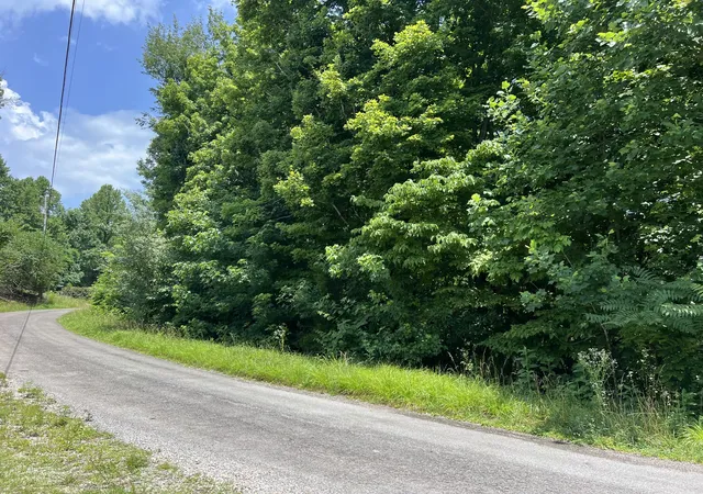 Homes for sale in Silver Point, TN | 0 Lafever Ridge Rd, Silver Point, TN 38582 | MLS# 3254978