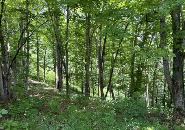 Homes for sale in Silver Point, TN | 0 Lafever Ridge Rd, Silver Point, TN 38582 | MLS# 3254978