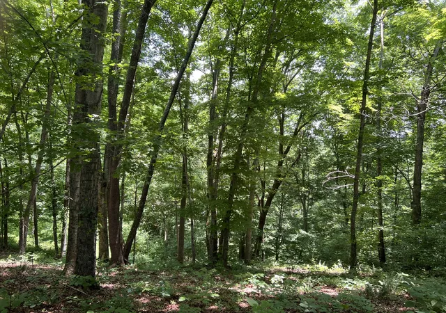 Homes for sale in Silver Point, TN | 0 Lafever Ridge Rd, Silver Point, TN 38582 | MLS# 3254978