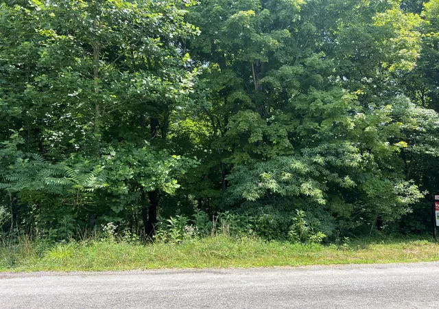 Homes for sale in Silver Point, TN | 0 Lafever Ridge Rd, Silver Point, TN 38582 | MLS# 3254978