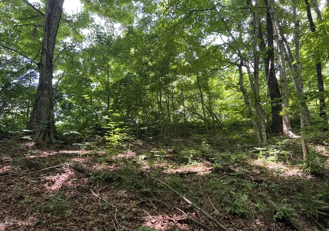 Homes for sale in Silver Point, TN | 0 Lafever Ridge Rd, Silver Point, TN 38582 | MLS# 3254978